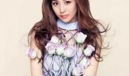 娱乐圈爆料配图网红,揭秘网红背后的故事