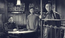 巴金家在线观看,经典名著在线重温，感受文学巨匠的深刻魅力